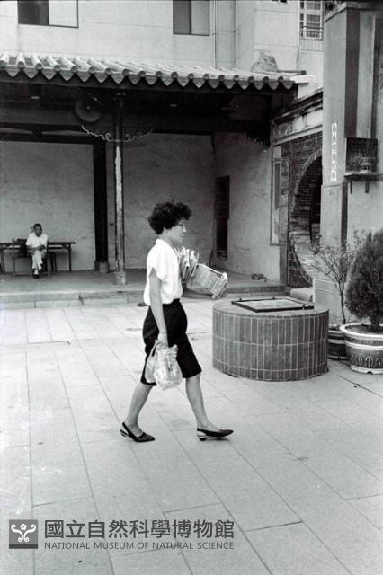 1950至2006年臺灣常民生活藏品圖，第1張