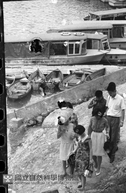 1950至2006年臺灣常民生活藏品圖，第1張