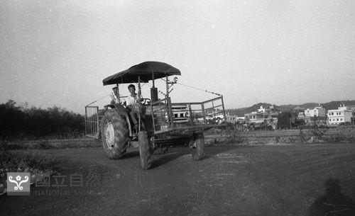 1950至2006年臺灣常民生活藏品圖，第1張
