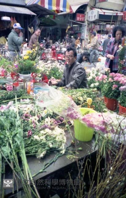 1950至2006年臺灣常民生活藏品圖，第1張