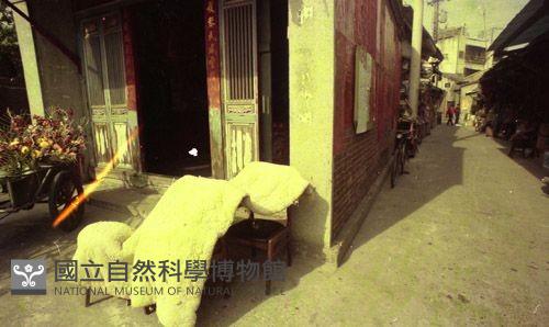 1950至2006年臺灣常民生活藏品圖，第1張