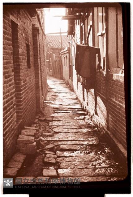 1950至2006年臺灣常民生活藏品圖，第1張