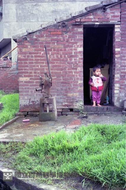 1950至2006年臺灣常民生活藏品圖，第1張