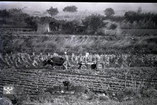 1950至2006年台灣常民生活藏品圖，第1張