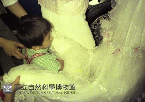 1950至2006年臺灣常民生活藏品圖，第1張