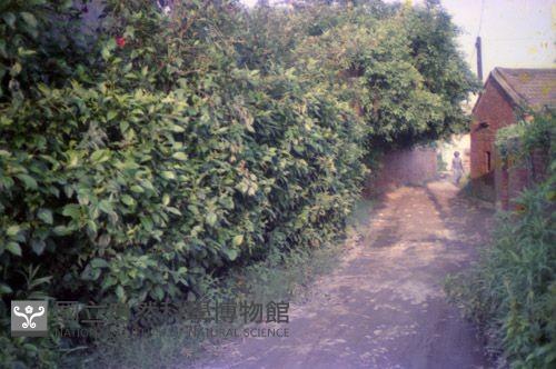 1950至2006年臺灣常民生活藏品圖，第1張