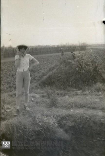 1950至2006年臺灣常民生活藏品圖，第1張