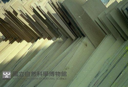 1950至2006年臺灣常民生活藏品圖，第1張