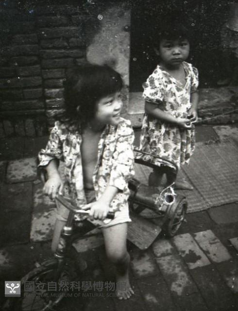 1950至2006年臺灣常民生活藏品圖，第1張