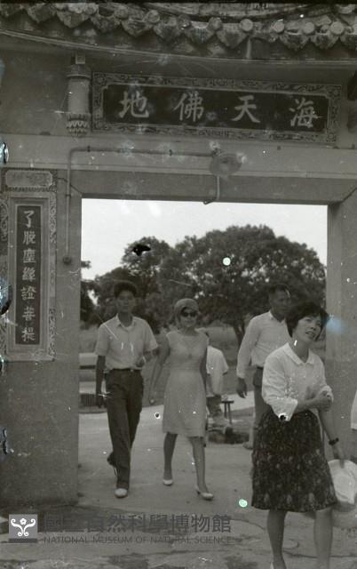 Accession Number:MP2007009432 Collection Image