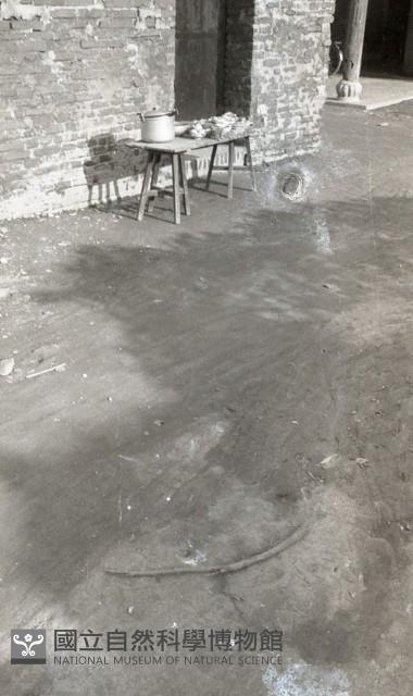 1950至2006年臺灣常民生活藏品圖，第1張