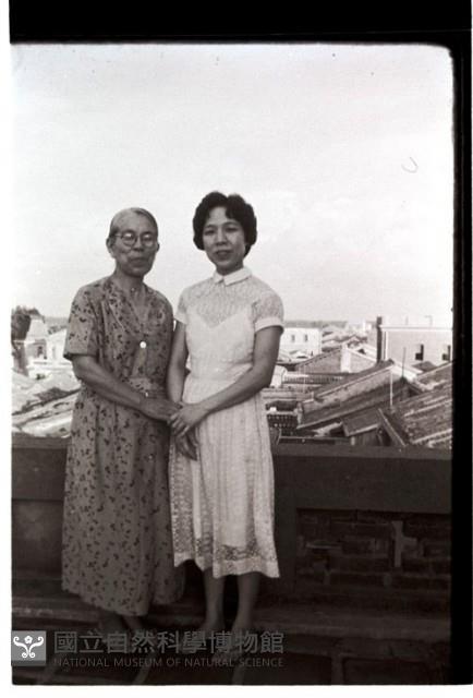 1950至2006年臺灣常民生活藏品圖，第1張