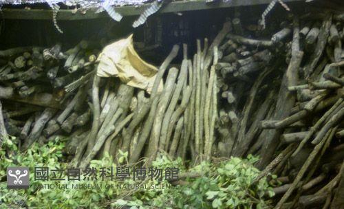 1950至2006年臺灣常民生活藏品圖，第1張