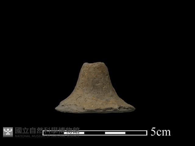 Accession Number:NP-2010-0015 Collection Image, Figure 1, Total 4 Figures