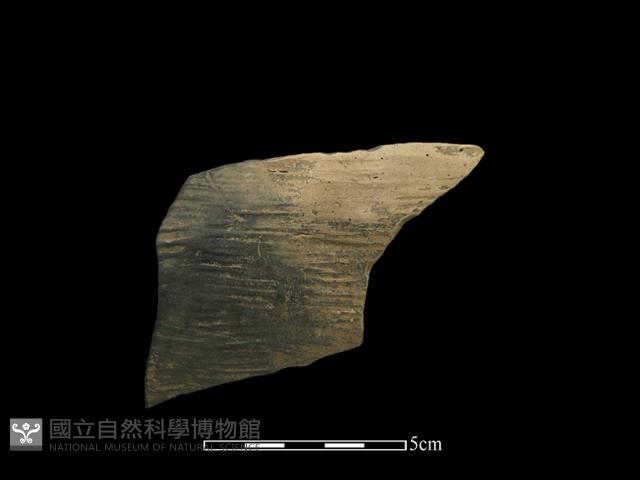 陶片藏品圖，第1張