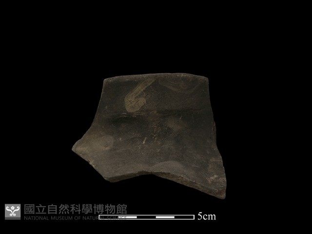 陶片藏品圖，第2張