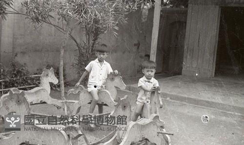1950至2006年臺灣常民生活藏品圖，第1張