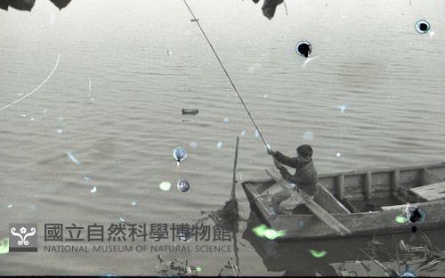 1950至2006年臺灣常民生活藏品圖，第1張