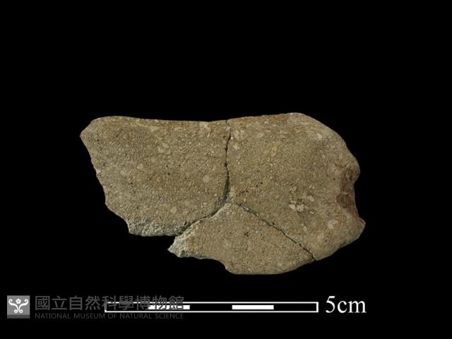 石刀藏品圖，第1張