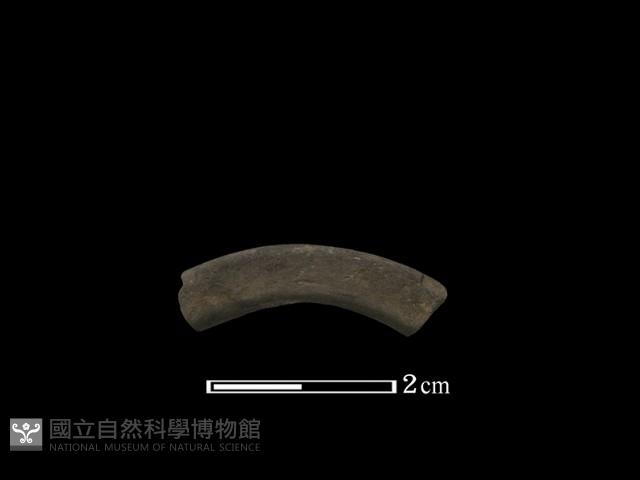 陶環藏品圖，第2張