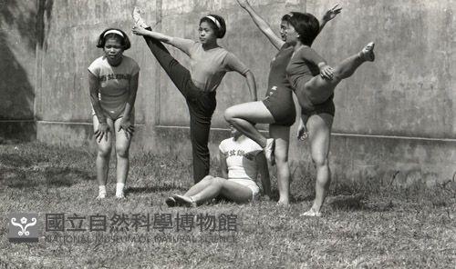 1950至2006年臺灣常民生活藏品圖，第1張
