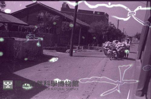 1950至2006年臺灣常民生活藏品圖，第1張