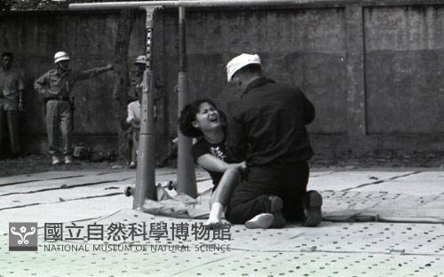 1950至2006年臺灣常民生活藏品圖，第1張