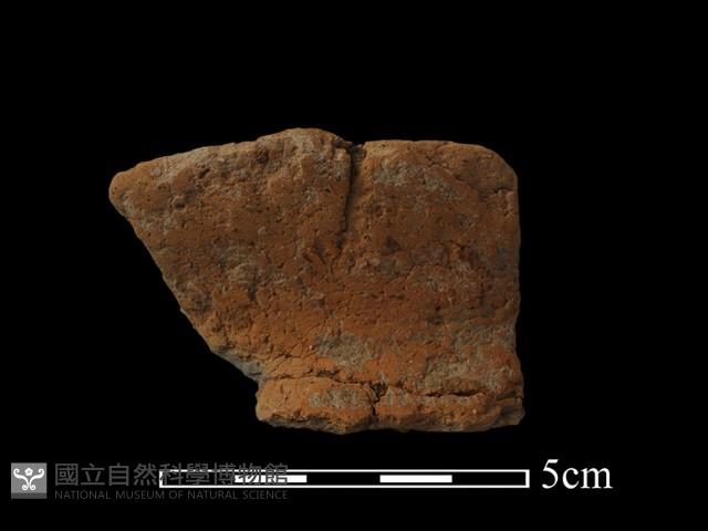 陶罐藏品圖，第2張