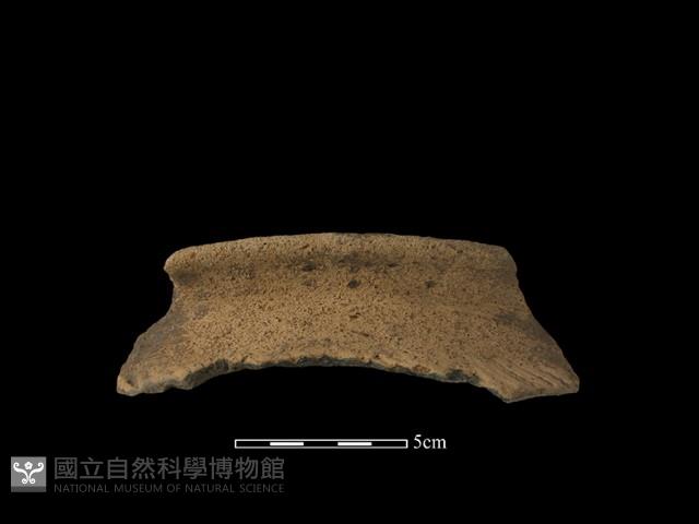 陶罐藏品圖，第2張