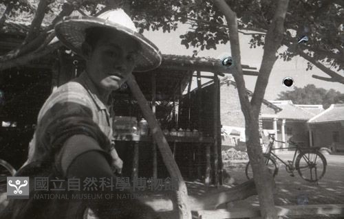 1950至2006年臺灣常民生活藏品圖，第1張