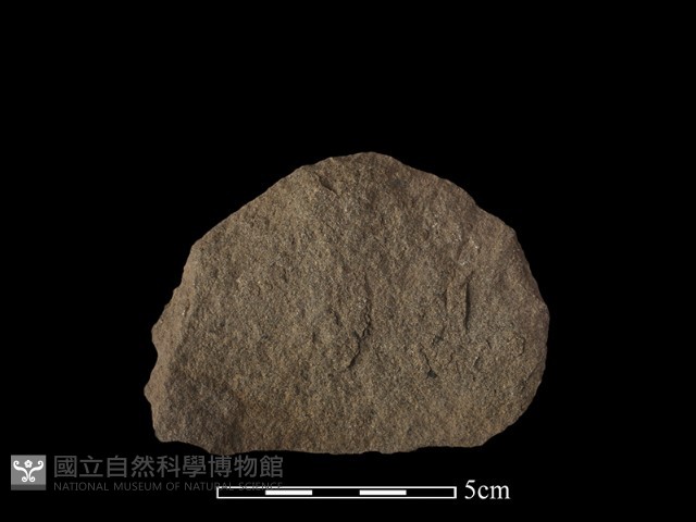 石片器藏品圖，第2張