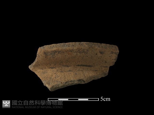 陶罐藏品圖，第2張