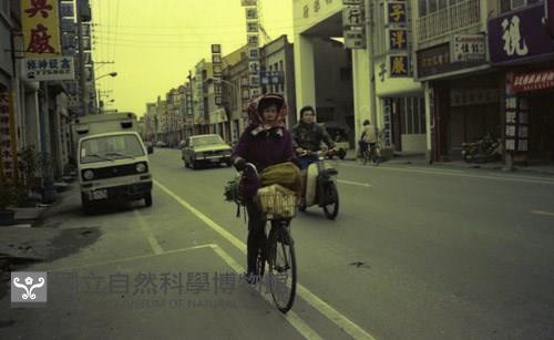 1950至2006年臺灣常民生活藏品圖，第1張