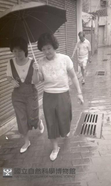 1950至2006年臺灣常民生活藏品圖，第1張