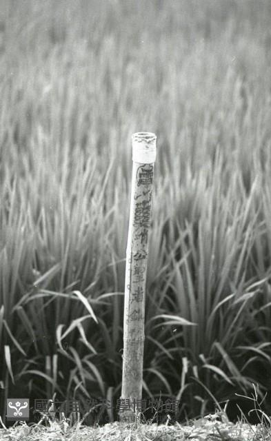 1950至2006年臺灣常民生活藏品圖，第1張