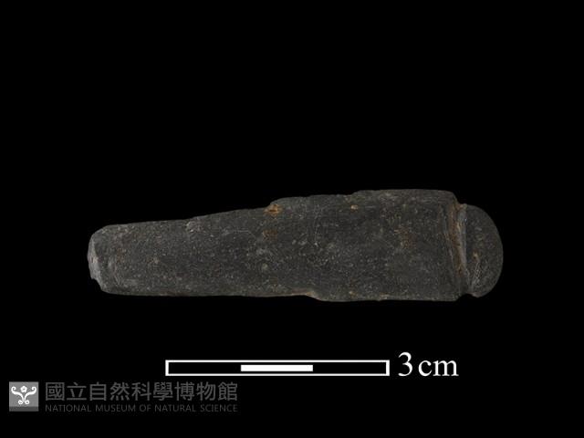 網墜藏品圖，第1張