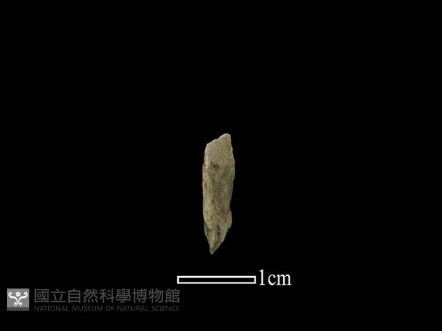 石材藏品圖，第1張