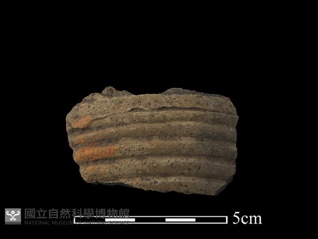 陶片藏品圖，第1張