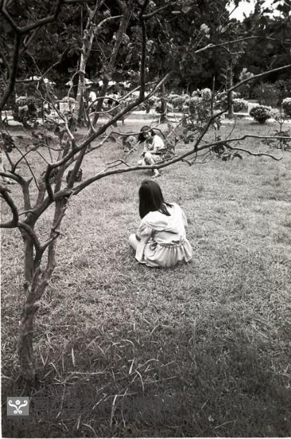 1950至2006年臺灣常民生活藏品圖，第1張