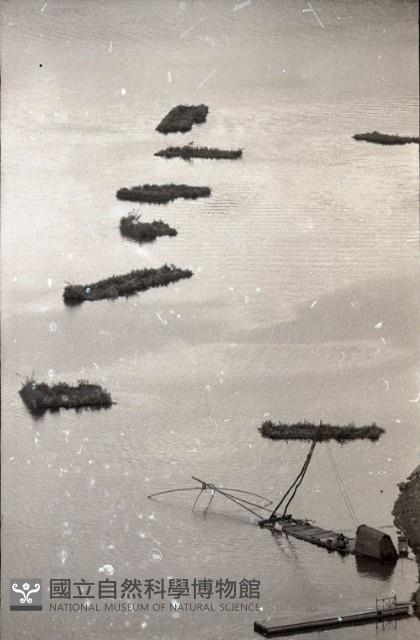 1950至2006年臺灣常民生活藏品圖，第1張