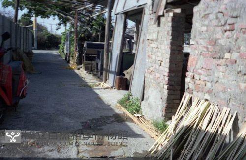 1950至2006年臺灣常民生活藏品圖，第1張