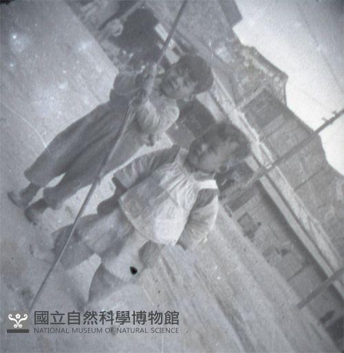 1950至2006年臺灣常民生活藏品圖，第1張
