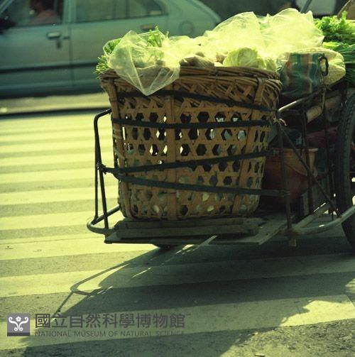 1950至2006年臺灣常民生活藏品圖，第1張