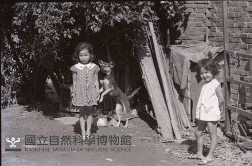 1950至2006年臺灣常民生活藏品圖，第1張