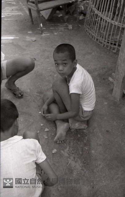 1950至2006年臺灣常民生活藏品圖，第1張