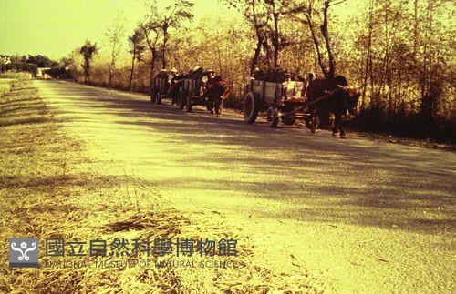 1950至2006年臺灣常民生活藏品圖，第1張