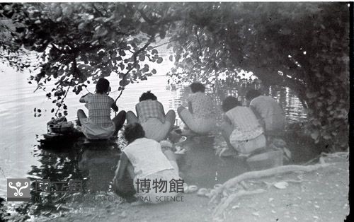 1950至2006年臺灣常民生活藏品圖，第1張