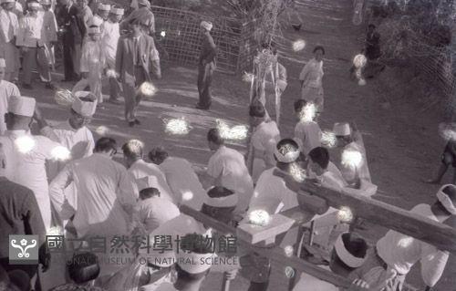 1950至2006年臺灣常民生活藏品圖，第1張