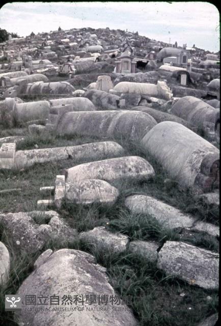 〈大入滿員〉（1950至2006年臺灣常民生活）藏品圖，第1張