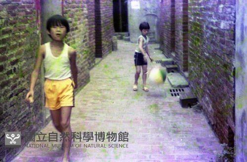 1950至2006年臺灣常民生活藏品圖，第1張